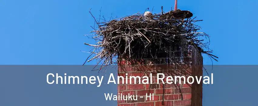 Chimney Animal Removal Wailuku - HI