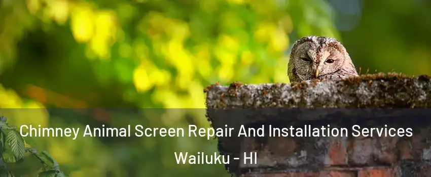  Chimney Animal Screen Repair And Installation Services Wailuku - HI