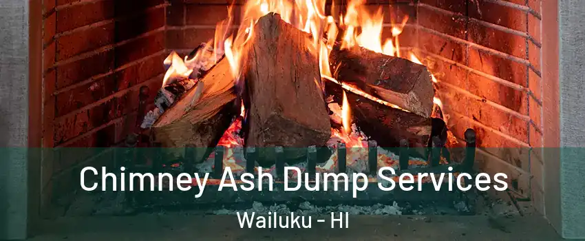  Chimney Ash Dump Services Wailuku - HI