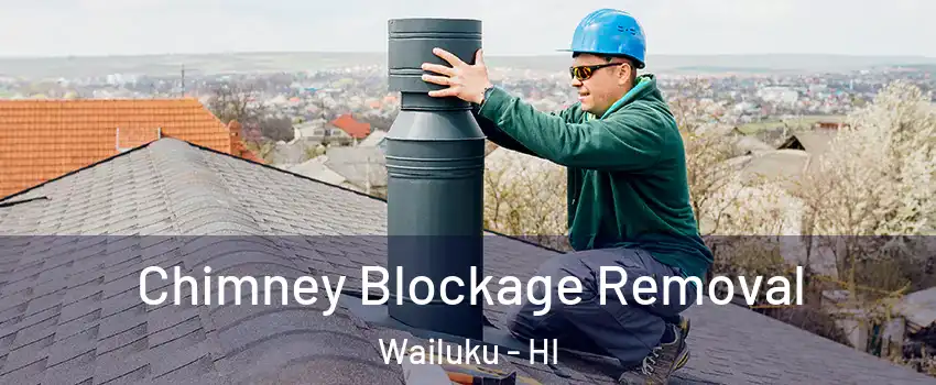  Chimney Blockage Removal Wailuku - HI