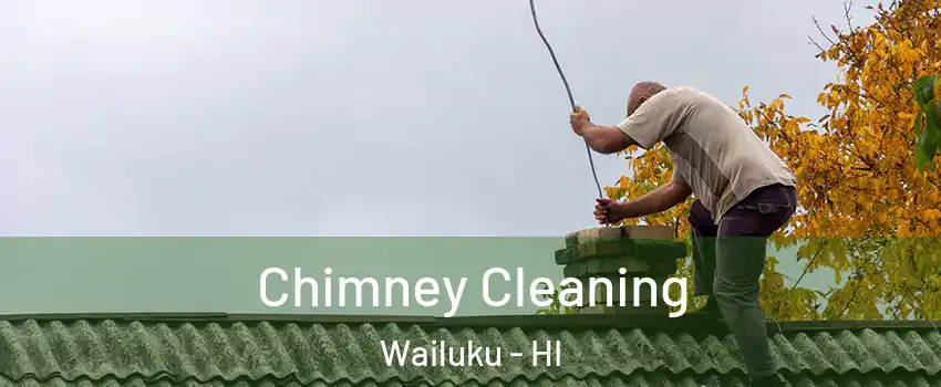  Chimney Cleaning Wailuku - HI