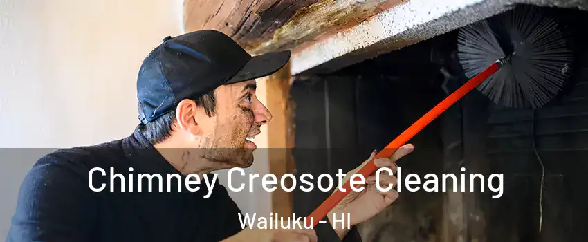  Chimney Creosote Cleaning Wailuku - HI
