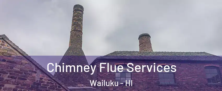  Chimney Flue Services Wailuku - HI