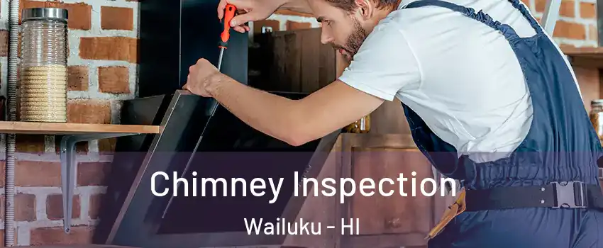  Chimney Inspection Wailuku - HI
