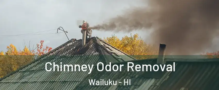  Chimney Odor Removal Wailuku - HI