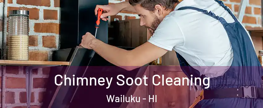  Chimney Soot Cleaning Wailuku - HI