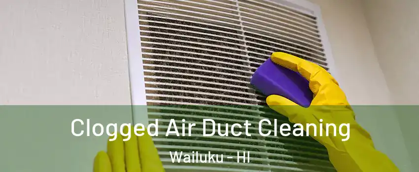  Clogged Air Duct Cleaning Wailuku - HI