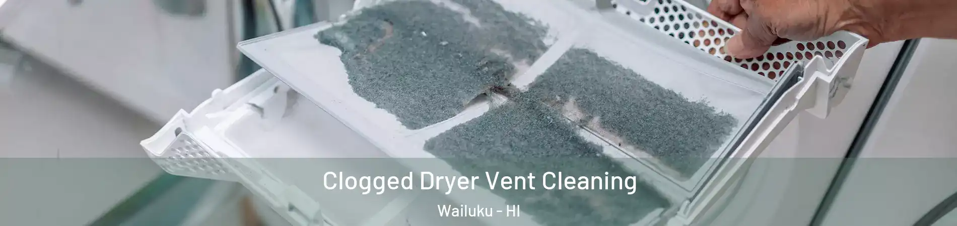  Clogged Dryer Vent Cleaning Wailuku - HI