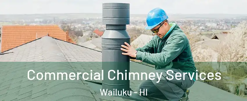  Commercial Chimney Services Wailuku - HI