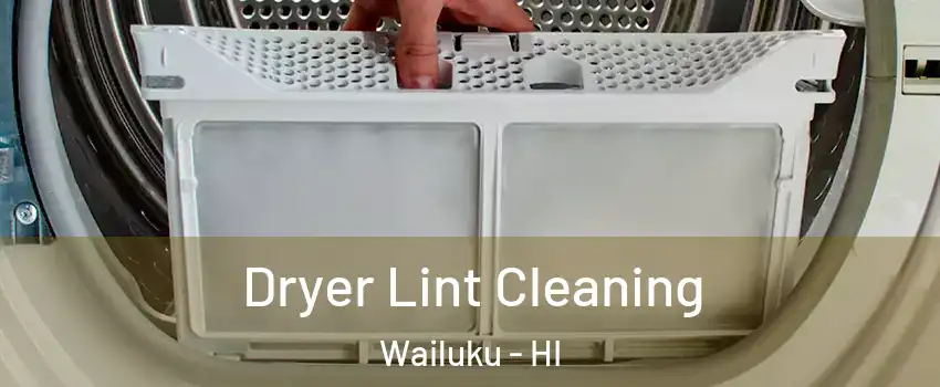  Dryer Lint Cleaning Wailuku - HI