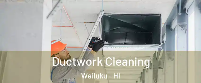  Ductwork Cleaning Wailuku - HI