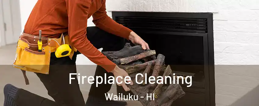  Fireplace Cleaning Wailuku - HI