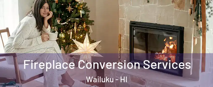  Fireplace Conversion Services Wailuku - HI