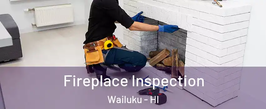  Fireplace Inspection Wailuku - HI