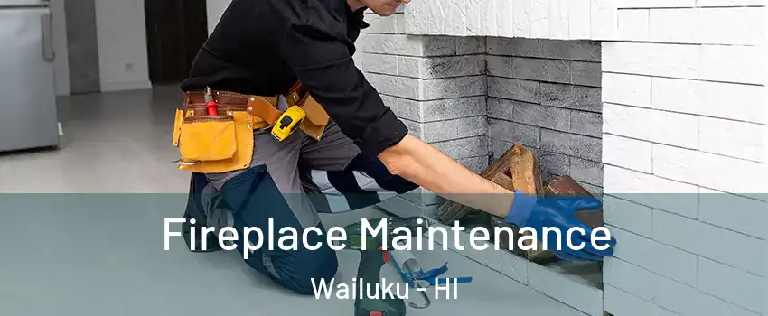  Fireplace Maintenance Wailuku - HI