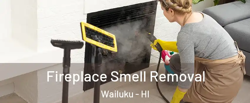  Fireplace Smell Removal Wailuku - HI