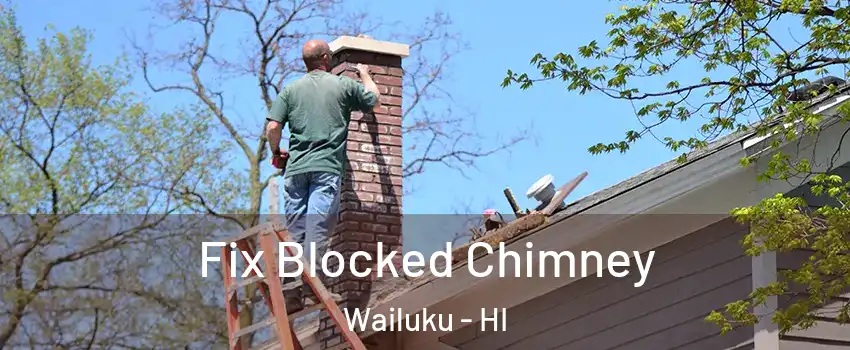  Fix Blocked Chimney Wailuku - HI