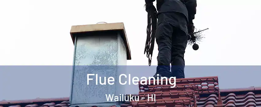 Flue Cleaning Wailuku - HI