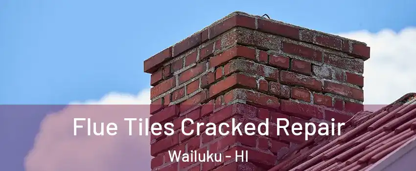  Flue Tiles Cracked Repair Wailuku - HI