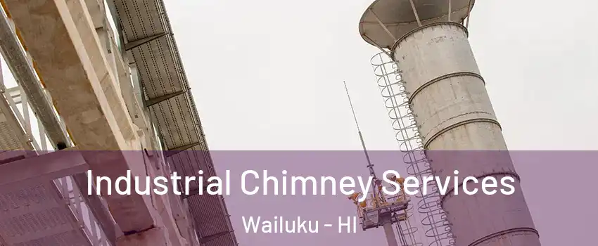 Industrial Chimney Services Wailuku - HI