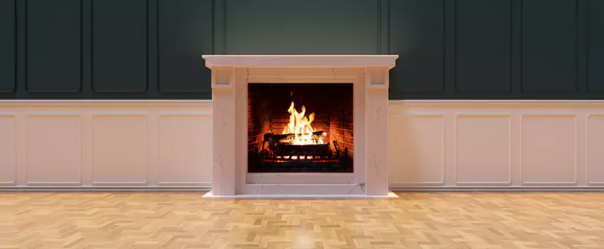 Napoleon Electric Fireplaces Inspection Service in Wailuku, Hawaii