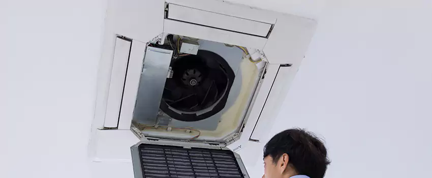 Benefits of Professional Air Duct Cleaning in Wailuku, Hawaii