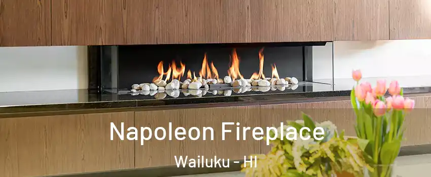  Napoleon Fireplace Wailuku - HI
