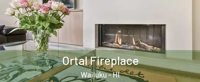 Ortal Fireplace Wailuku - HI