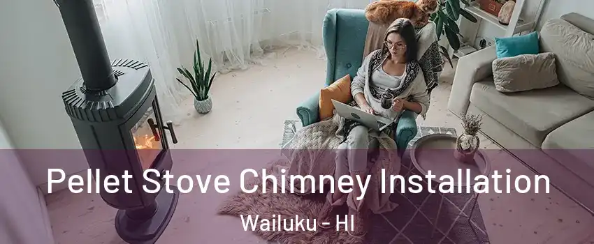  Pellet Stove Chimney Installation Wailuku - HI