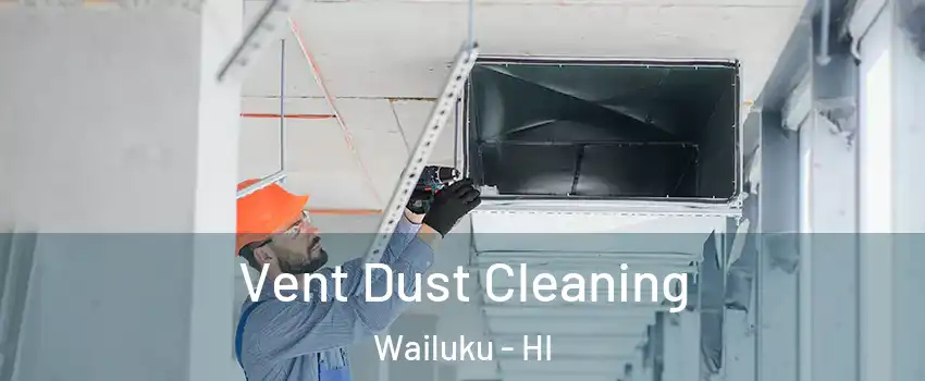  Vent Dust Cleaning Wailuku - HI