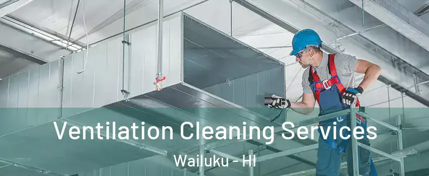  Ventilation Cleaning Services Wailuku - HI